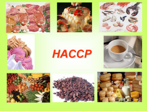 HACCP LÀ GÌ ?